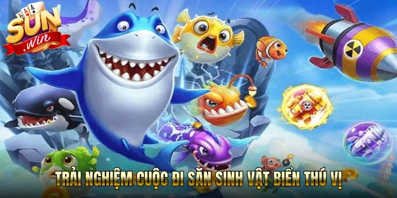 Trải nghiệm cuộc đi săn sinh vật biển thú vị