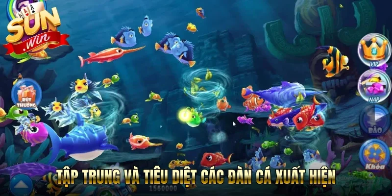 Tập trung và tiêu diệt các đàn cá xuất hiện