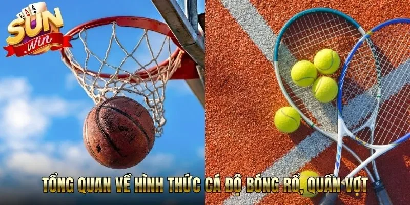 Tổng quan về hình thức cá độ bóng rổ, quần vợt
